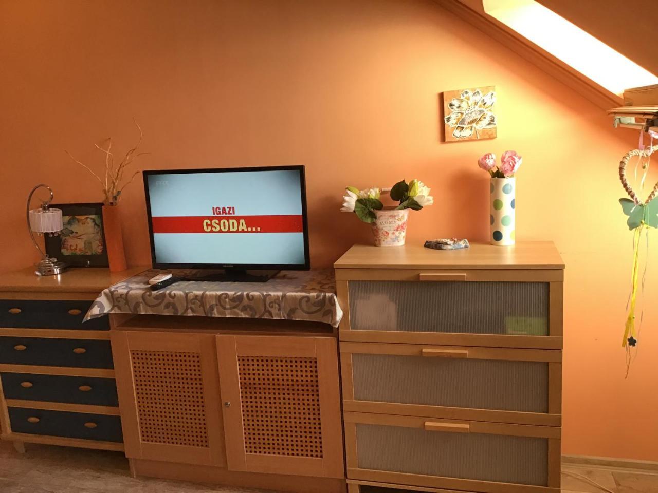 Family Wellness Apartman Hajdúszoboszló 外观 照片